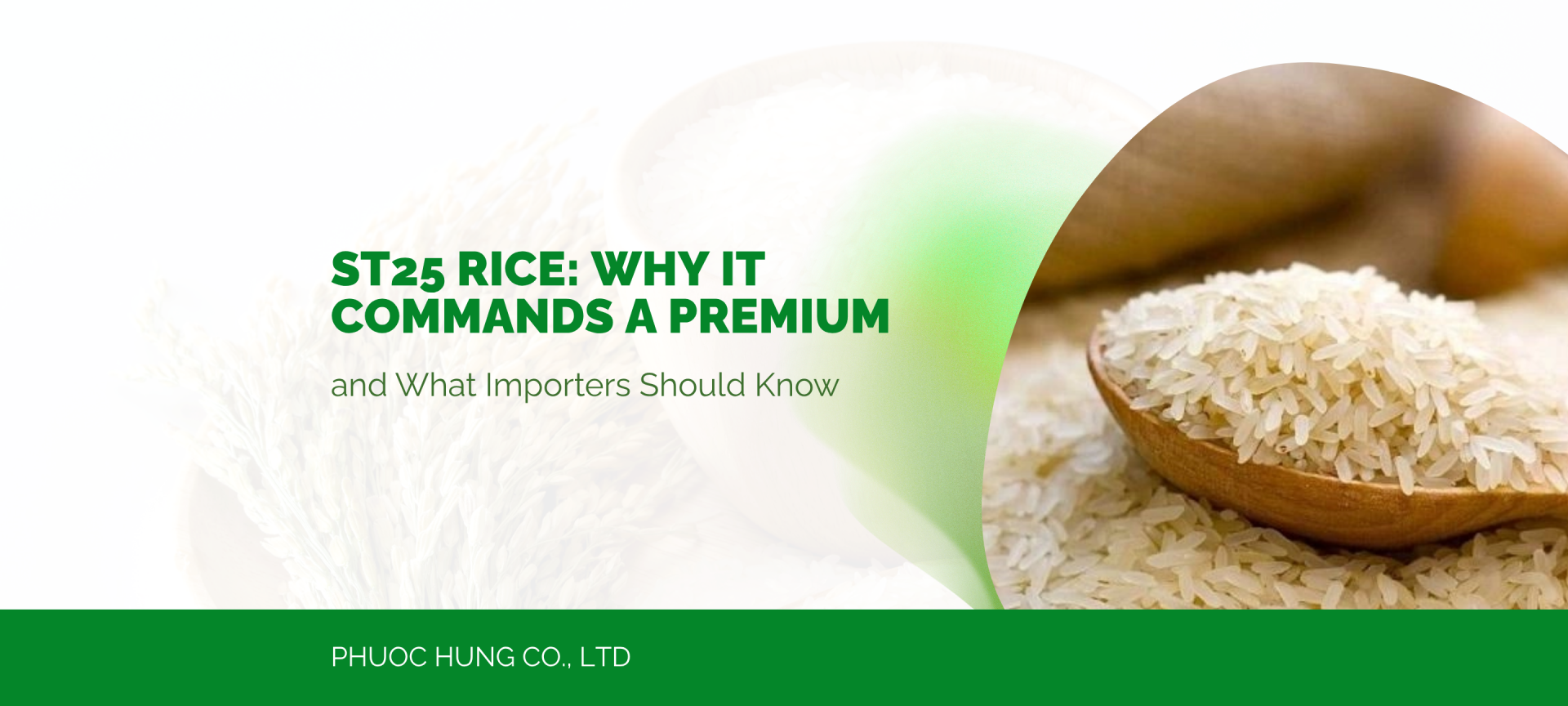 ST25 Rice: Why It Commands a Premium and What Importers Should Know