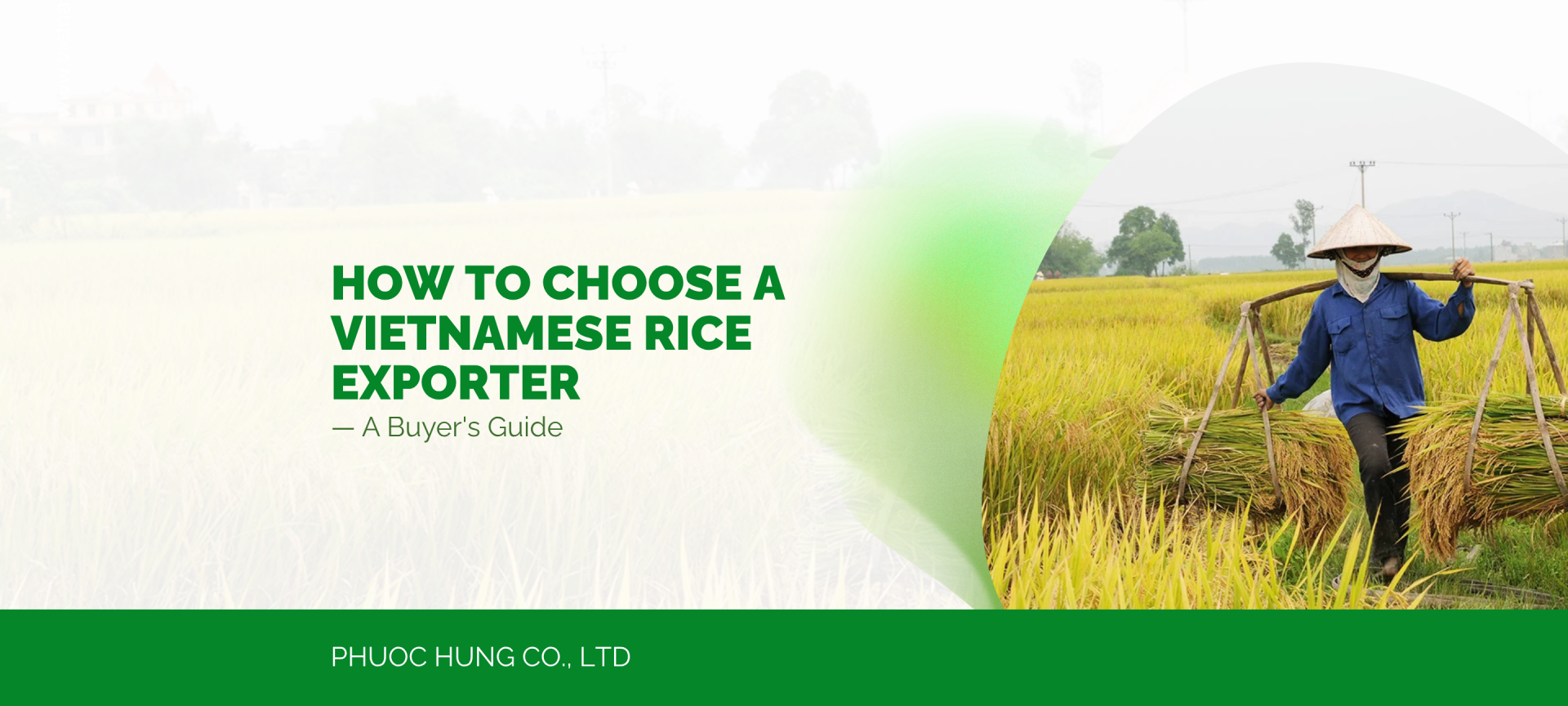 How to Choose a Vietnamese Rice Exporter: A Buyer's Guide