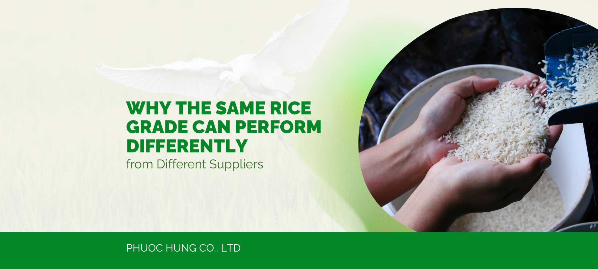 Why the Same Rice Grade Can Perform Differently from Different Suppliers
