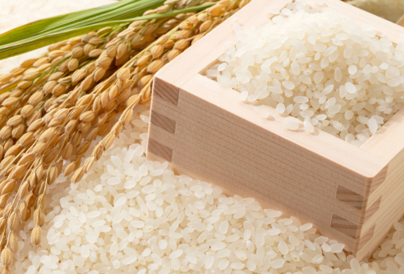 Japonica - Premium Short-Grain Rice